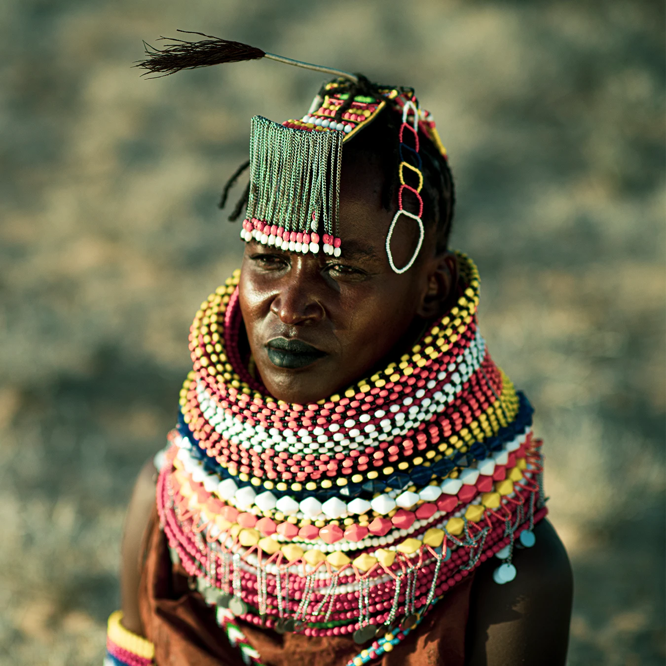 Elizabeth Korkel's Image